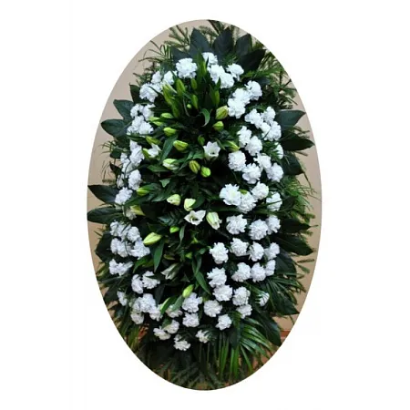 Ритуальный венок из живых цветов "Гвоздика белая"